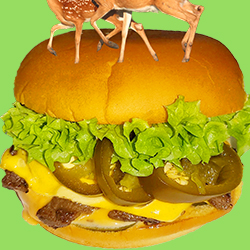 برجر لحم الغزال