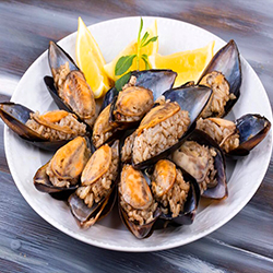 الديناميت والبحري